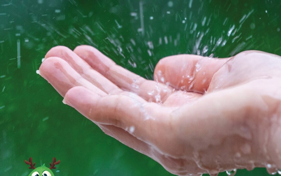 Subsidie voor opslag en gebruik van regenwater