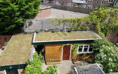 Subsidie voor groene daken