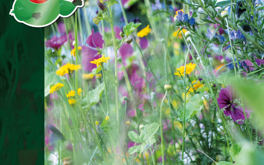 Help de vlinders een handje