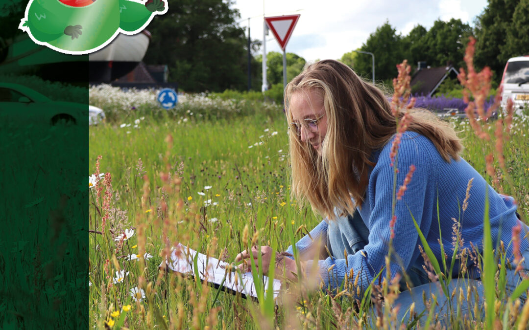 Meer bloemen en plantsoorten in Smallingerland